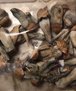Driedmagic Mushrooms
